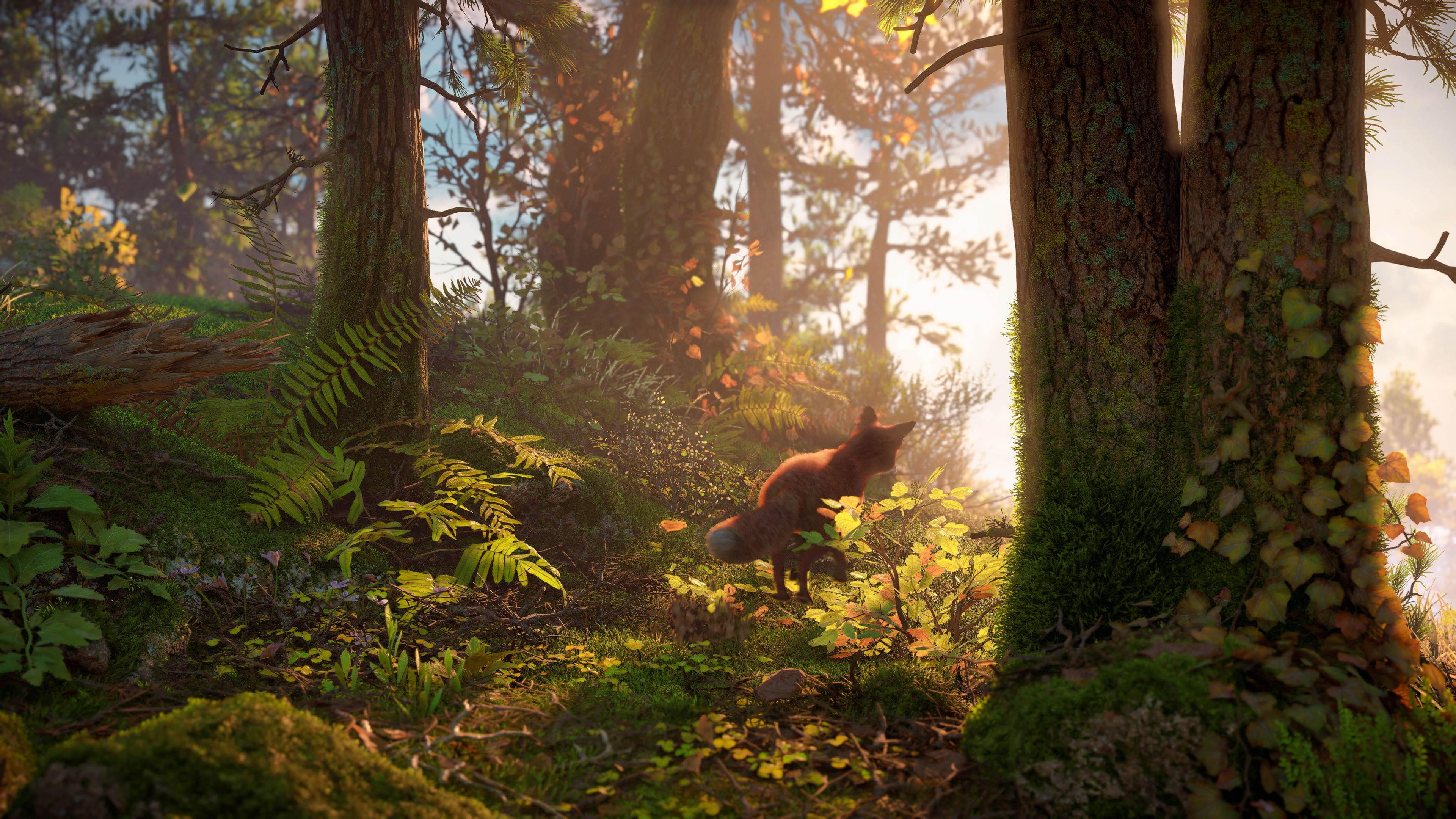 ps5画面最震撼的游戏(ps5目前画面最好的游戏)