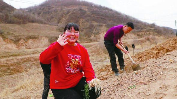 陕北霞姐个人资料（浅谈霞姐个人经历与走红原因）