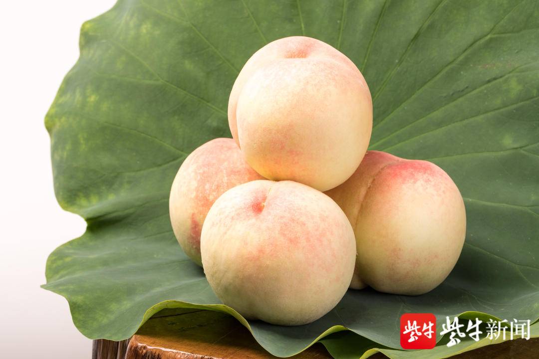无锡市惠山区阳山水蜜桃桃农协会会长金唯新告诉记者,这里的土壤原是