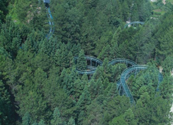 黄水旅游再添新名片！石柱森林王国正式开园