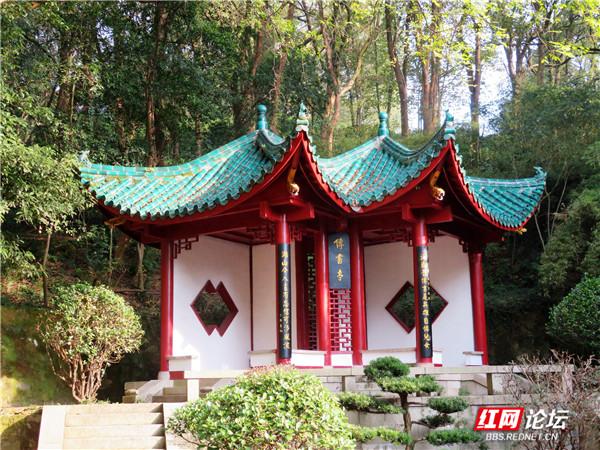 阅岁月之美，品君山秋色，这又是一处让人心动的地方