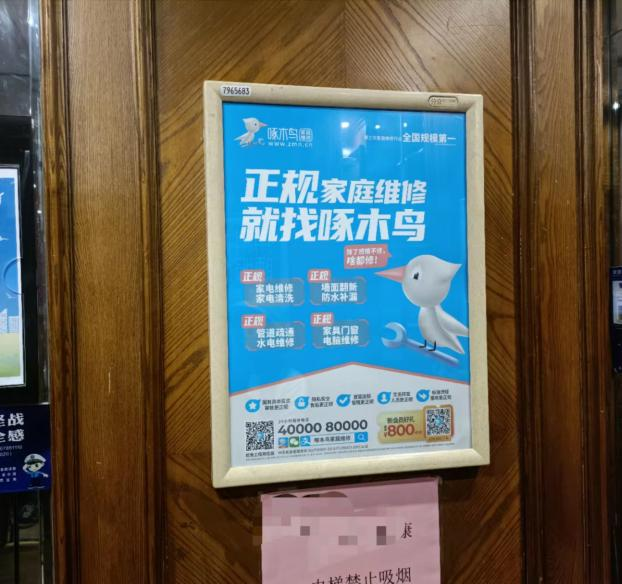 啄木鸟维修家电 广州啄木鸟电器维修有限公司8月28日新增投诉共2个，近一月公示投诉总量8件