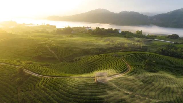 建德千島湖(遊千島湖去淳安還是建德)