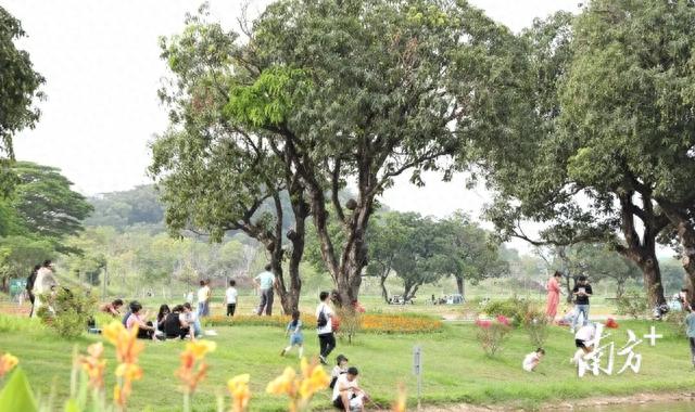 东坑多景点受热捧，亲子游居多