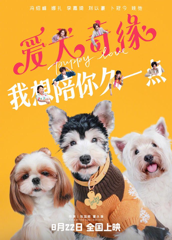 爱犬奇缘讲的什么故事（爱犬奇缘剧情简介）