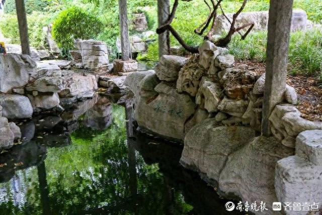 听泉水叮咚，游泉城济南|市区名泉我拍你看，五龙潭泉群14
